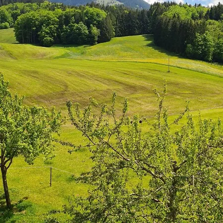 Maria Schnitzenbaumer *